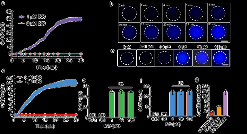Научно-исследовательская группа профессора Хань Сяоцзюня  из Харбинского политехнического университета  сообщила о прорыве в создании автономных искусственных клеток 