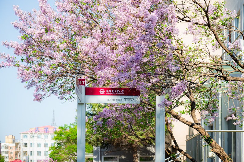 Увлечение этого аспиранта ХПУ действительно впечатляет!